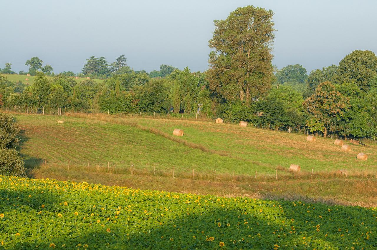 Les Maisons Du Golf D'Armagnac Eauze エクステリア 写真